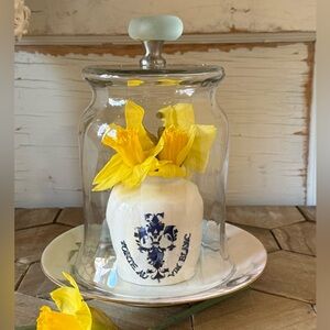 🎉🎊 HOST PICK 🎊🎉 Seaglass Cloche w/ Antique Limoge Base,Hand Painted Seashells